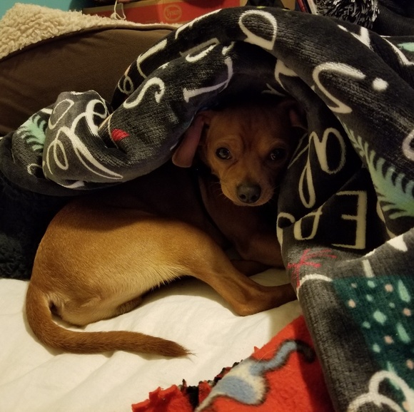 💕 Taylor 💕 - Picture 4 of 5